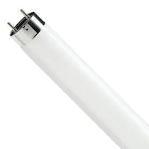 T8 (TL-D) Fluorescent