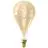 Calex XXL Splash Gold LED E27 Filament 3W 250lm- 822 Extra Warm White | Dimmable